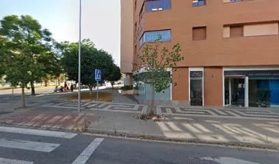 Foto de NEXOINTEGRAL TRÁMITES Y SERVICIOS GLOBALES, S.L.