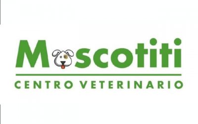Clinica Veterinaria Mascotiti Madrid