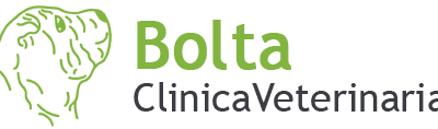 Clinica Veterinaria Bolta