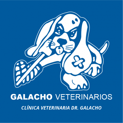 Clínica Veterinaria Dr. Galacho