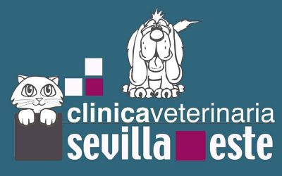 Clínica Veterinaria Sevilla Este