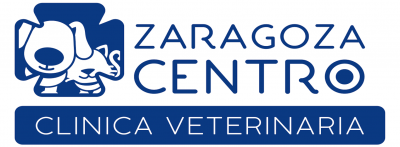 Clínica veterinaria Zaragoza centro
