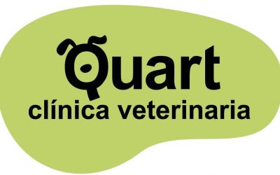 Quart Clínica Veterinaria Valencia