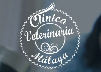 clinica-veterinaria-malaga-2